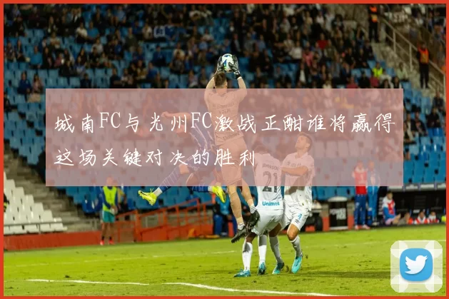 城南FC与光州FC激战正酣谁将赢得这场关键对决的胜利